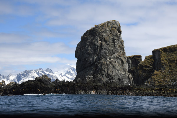 South Georgia Nov24 1336.jpg