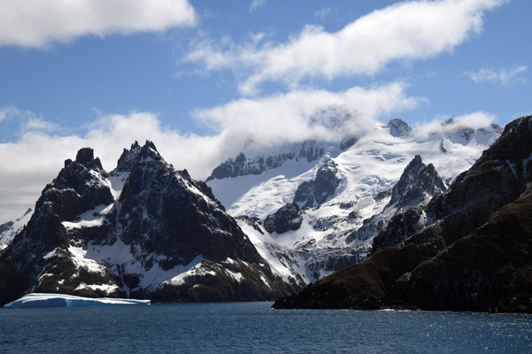 South Georgia Nov24 1348.jpg