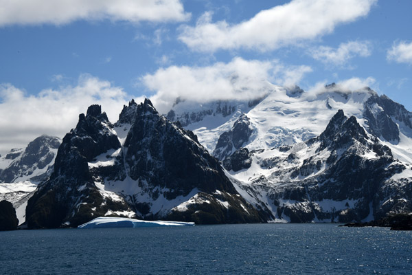 South Georgia Nov24 1355.jpg