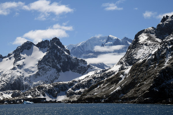 South Georgia Nov24 1358.jpg