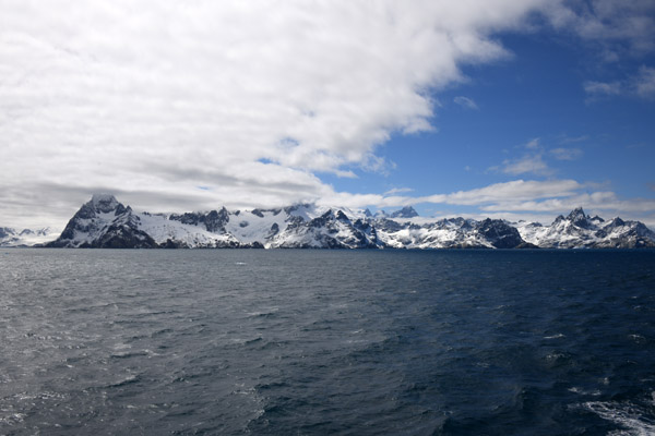 South Georgia Nov24 1371.jpg
