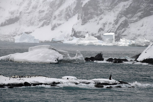Elephant Island