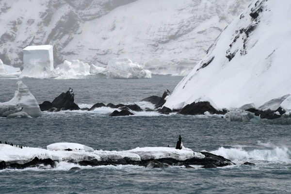 Antarctica Nov24 046.jpg