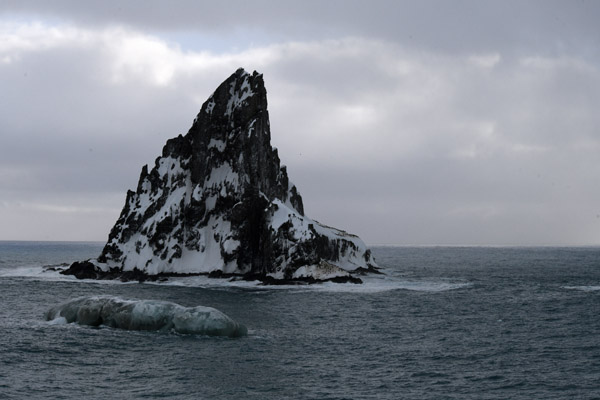 Antarctica Nov24 048.jpg