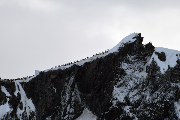 Antarctica Nov24 052.jpg