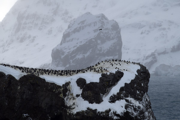 Antarctica Nov24 053.jpg