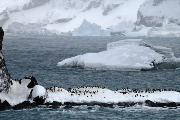 Antarctica Nov24 054.jpg