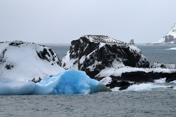 Antarctica Nov24 057.jpg