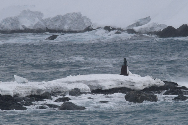 Antarctica Nov24 062.jpg