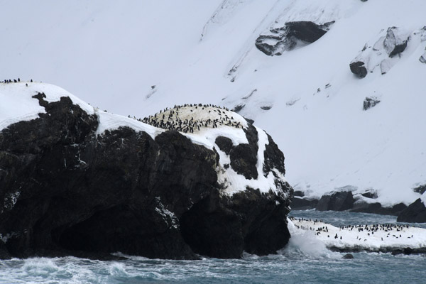 Antarctica Nov24 067.jpg