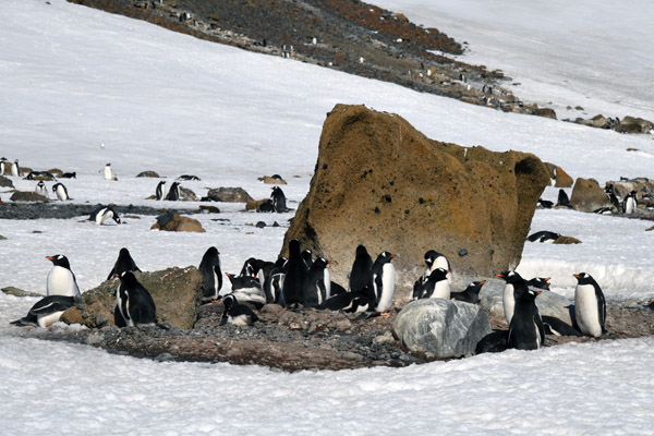 Antarctica Nov24 177.jpg
