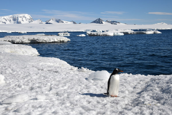 Antarctica Nov24 181.jpg