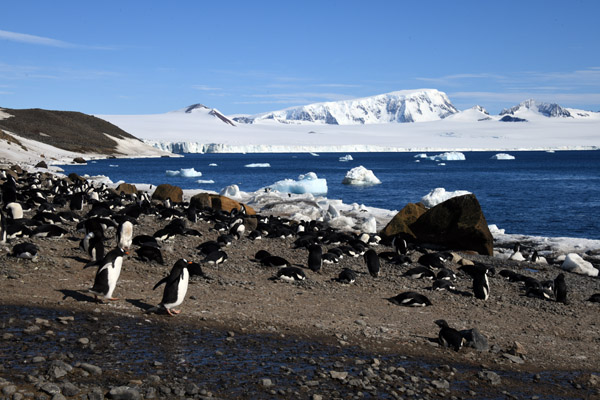 Antarctica Nov24 210.jpg