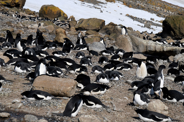 Antarctica Nov24 212.jpg