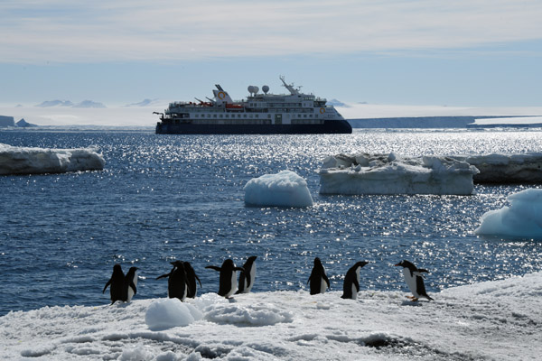 Antarctica Nov24 254.jpg