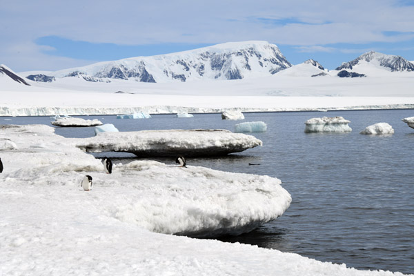 Antarctica Nov24 304.jpg