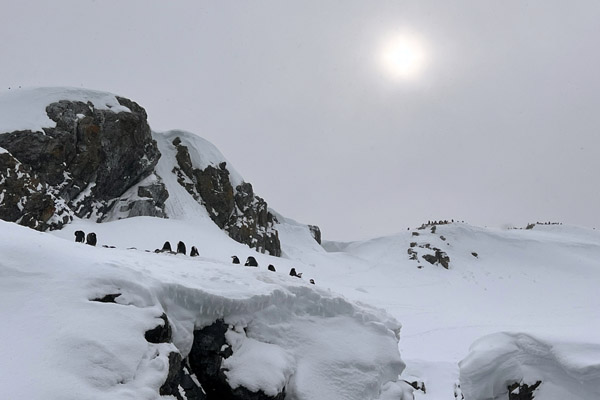 Antarctic Nov24 257.jpg