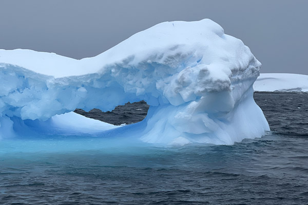 Antarctic Nov24 282.jpg