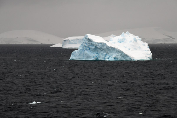 Antarctica Nov24 602.jpg