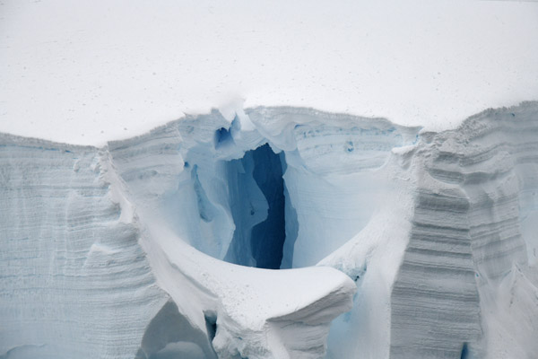 Antarctica Nov24 610.jpg