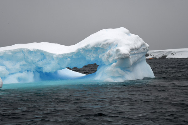 Antarctica Nov24 613.jpg