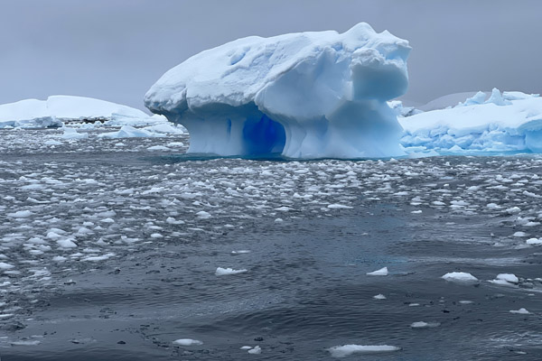 Antarctic Nov24 293.jpg