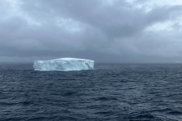 Antarctic Nov24 304.jpg