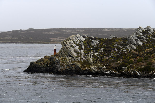 Falklands Nov24 210.jpg