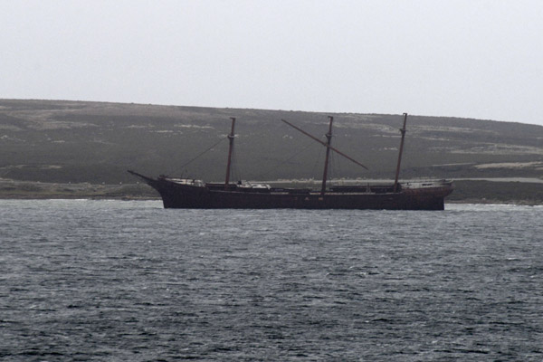 Falklands Nov24 214.jpg