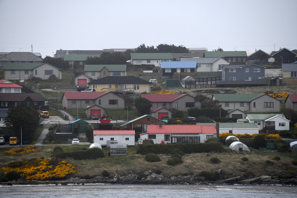 Falklands Nov24 215.jpg