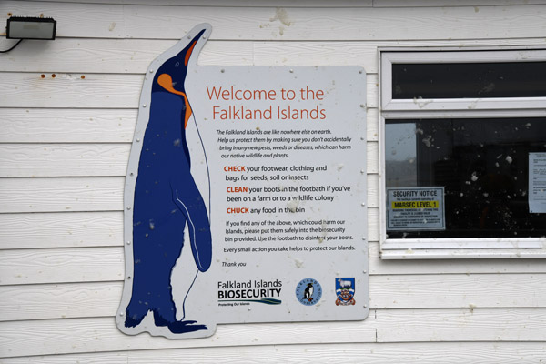 Falklands Nov24 220.jpg