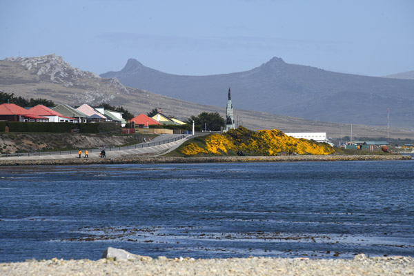 Falklands Nov24 332.jpg