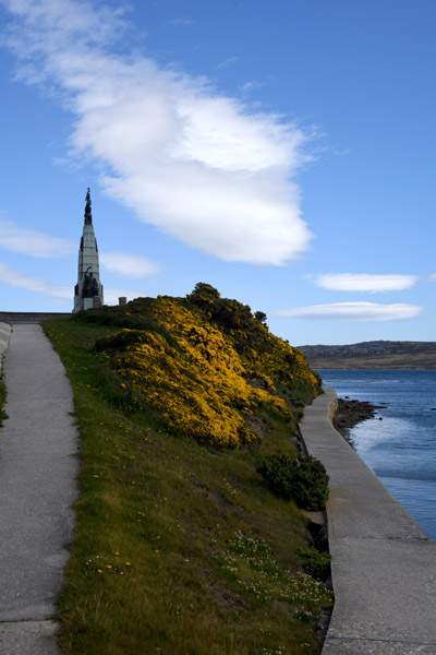 Falklands Nov24 356.jpg