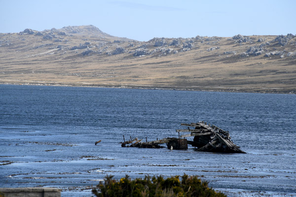 Falklands Nov24 362.jpg