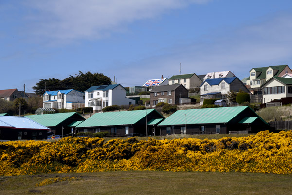 Falklands Nov24 378.jpg