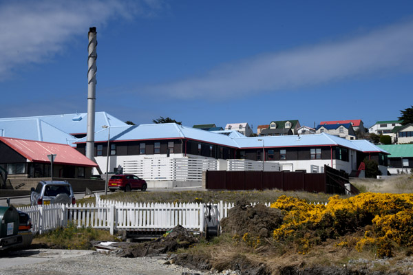 Falklands Nov24 383.jpg