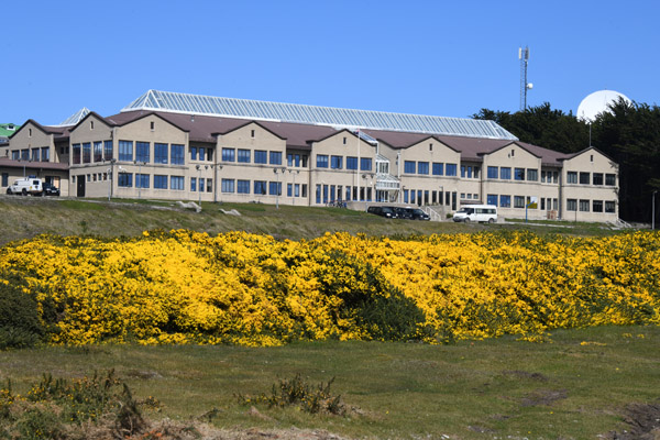 Falklands Nov24 384.jpg