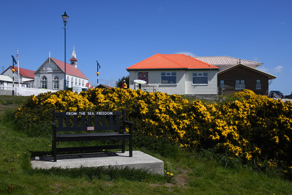 Falklands Nov24 410.jpg