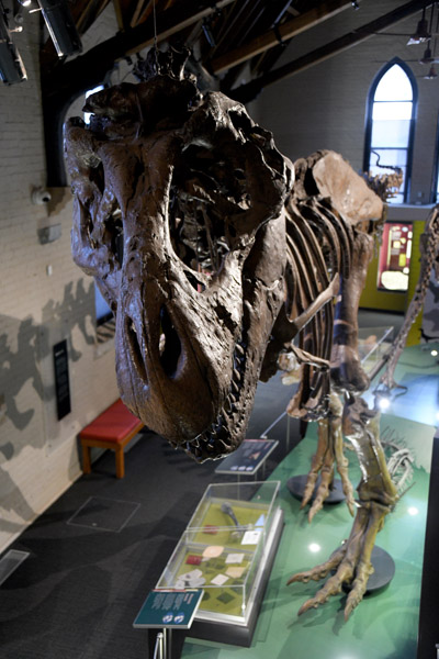 Tyrannosaurus Rex, Bathurst