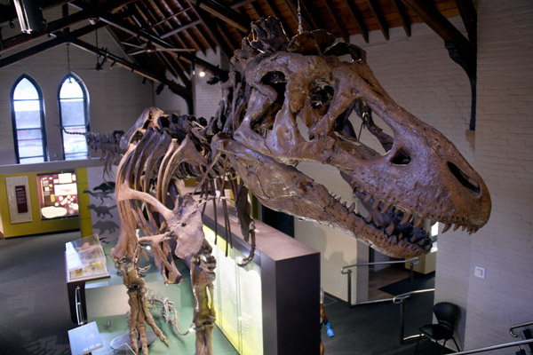 Tyrannosaurus Rex, Bathurst