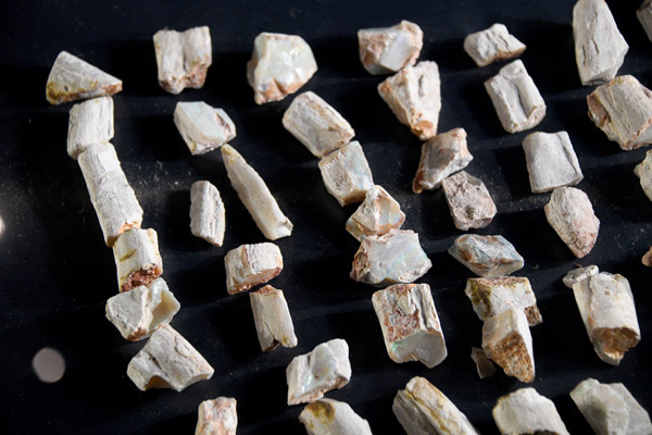 Australian Fossil & Mineral Museum, Bathurst