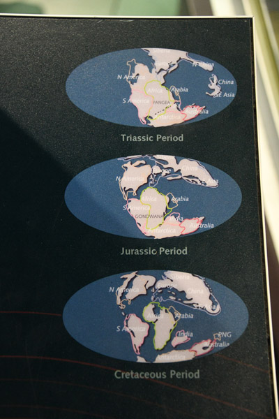 World of the Triassic, Jurassic and Cretaceous Periods