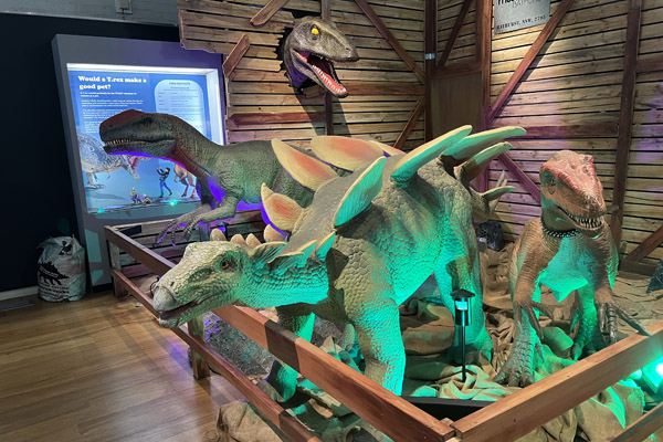 Bathurst - Australian Fossil & Mineral Museum