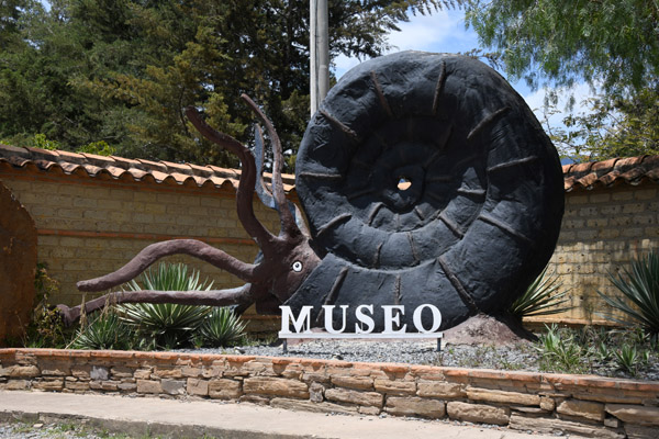 Museo El Fosil