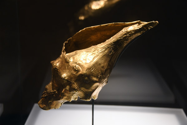Gold plated sea snail shell - Calima Region, Yotoco Period 200BC-1300AD