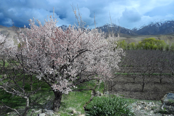 Afghanistan Apr24 0040.jpg