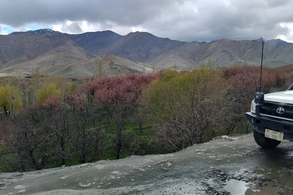 Kabul Apr24 0142.jpg