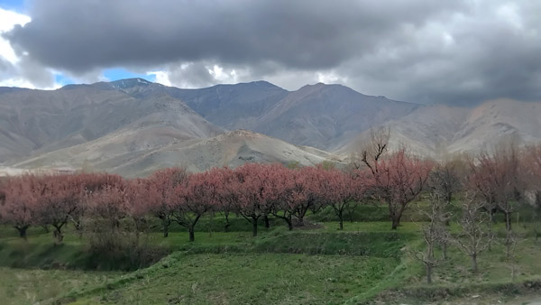 Kabul Apr24 0144.jpg