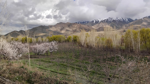 Kabul Apr24 0146.jpg