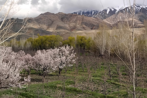 Kabul Apr24 0148.jpg